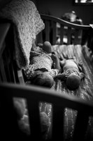 DSC_0076-2