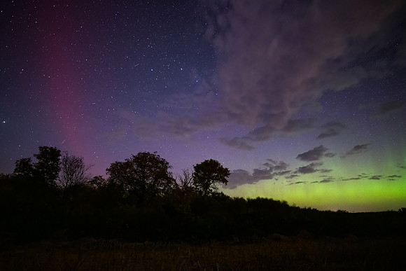 Aurora 7497-