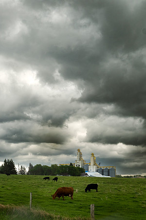 Shelf Cloud 2133-