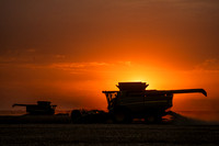 Combine 7407647-