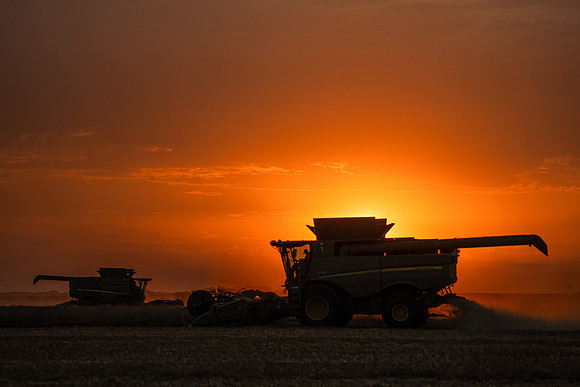 Combine 7407647-