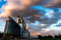 Delmar in the setting sun 8932-
