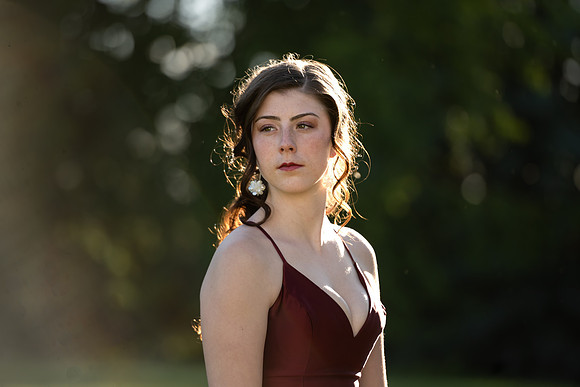 Nik 2678-
